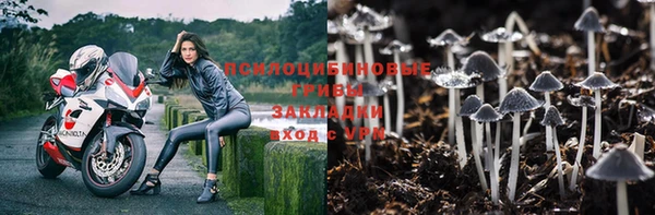 ALPHA PVP Куйбышев