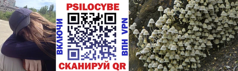 даркнет сайт  Шимановск  Галлюциногенные грибы Cubensis 