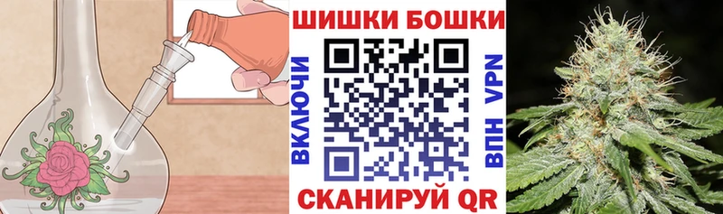 дарк нет Telegram  Шимановск  Бошки марихуана план 